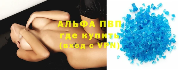 твердый Чекалин