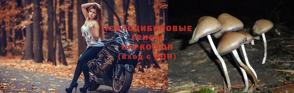 каннабис Покровск