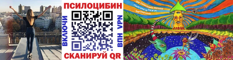 blacksprut зеркало  Александров  Псилоцибиновые грибы мицелий  купить наркотики сайты 