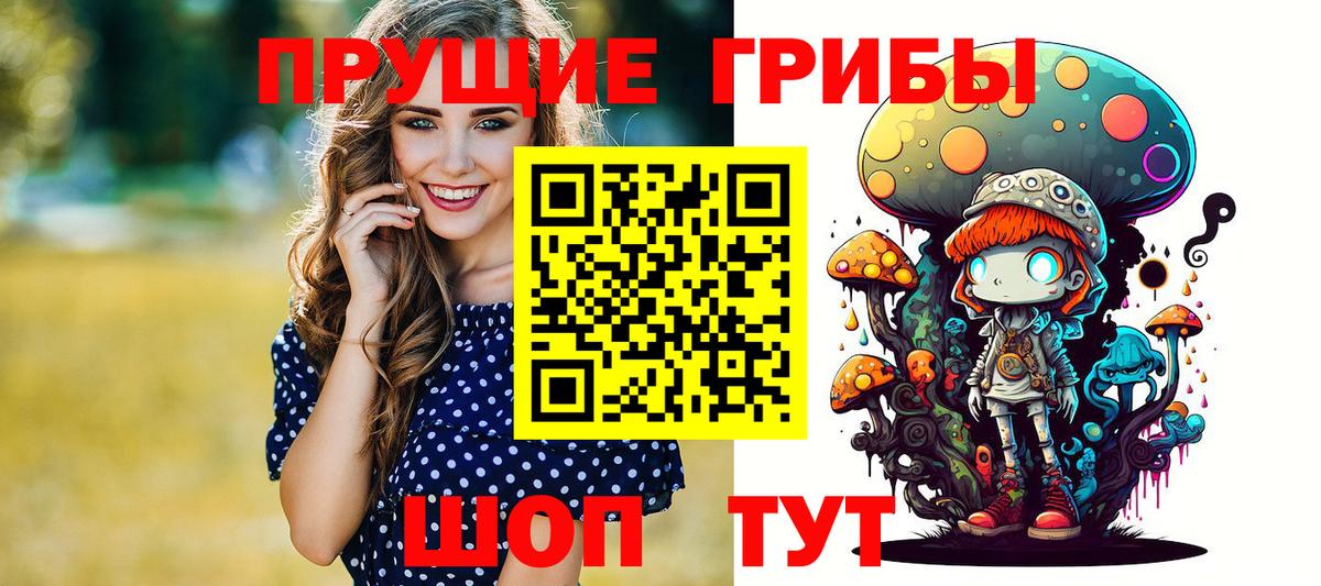 Псилоцибиновые грибы Cubensis Александров