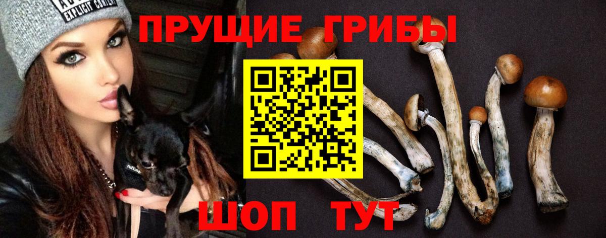 Псилоцибиновые грибы мицелий Александров